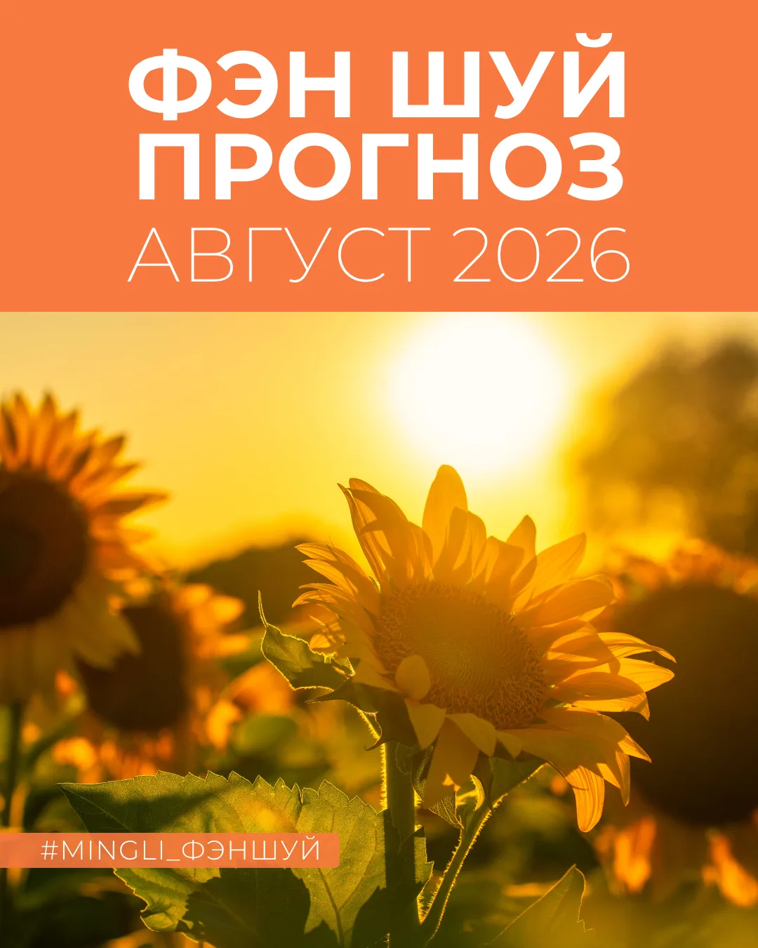 ☯️ Фэн Шуй прогноз на АВГУСТ 2026 года