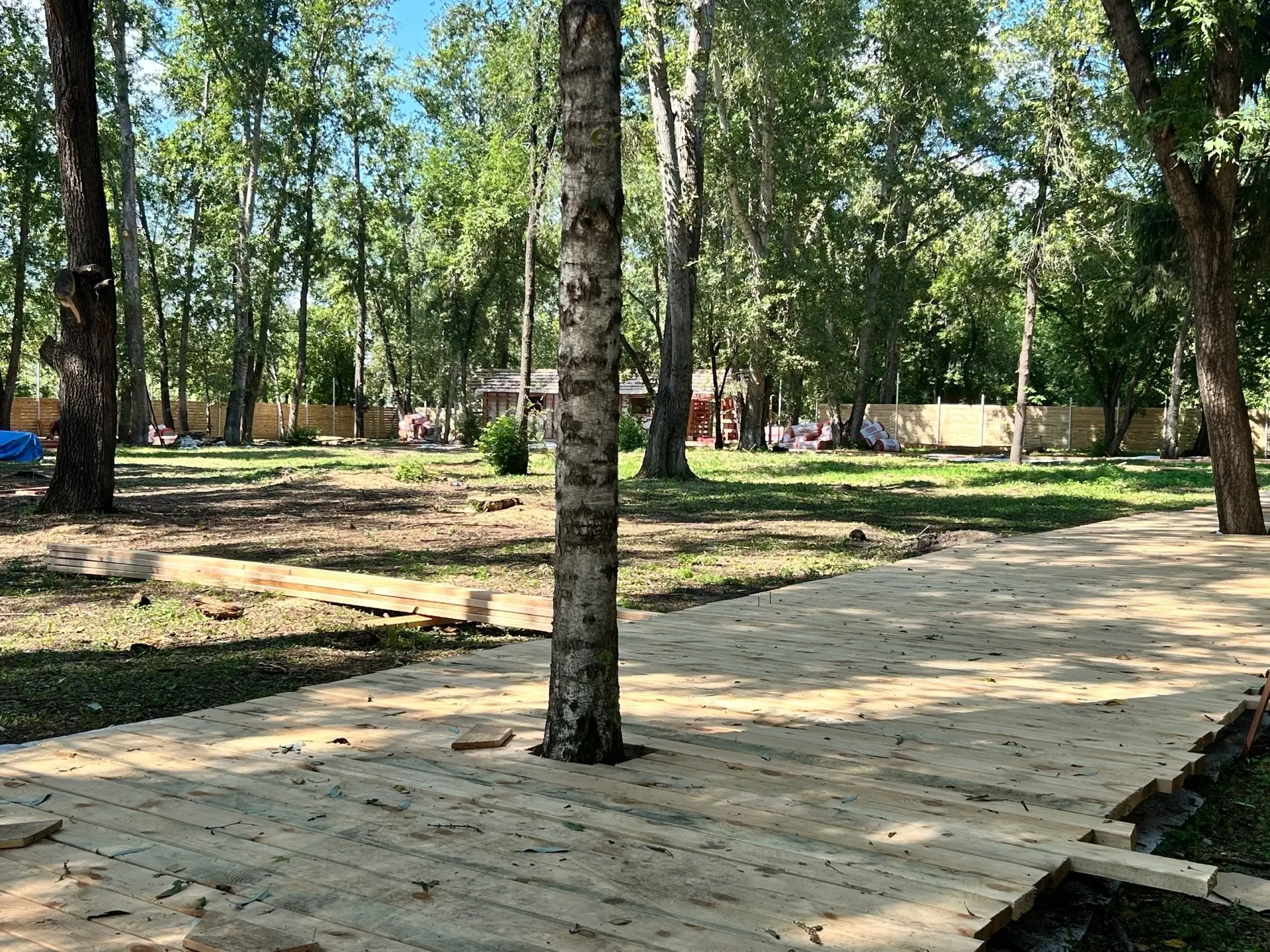 Совсем скоро семьи с детьми, горожане и гости  города смогут посетить парк альпак, где  в самом серд