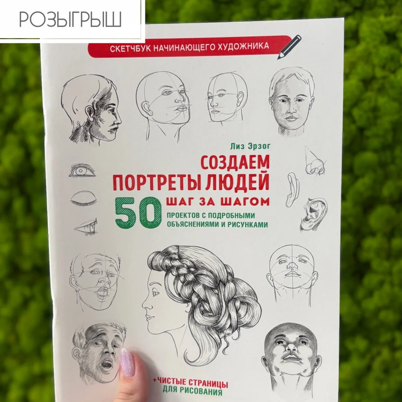 Разыгрываем скетчбук начинающего художника 🎨