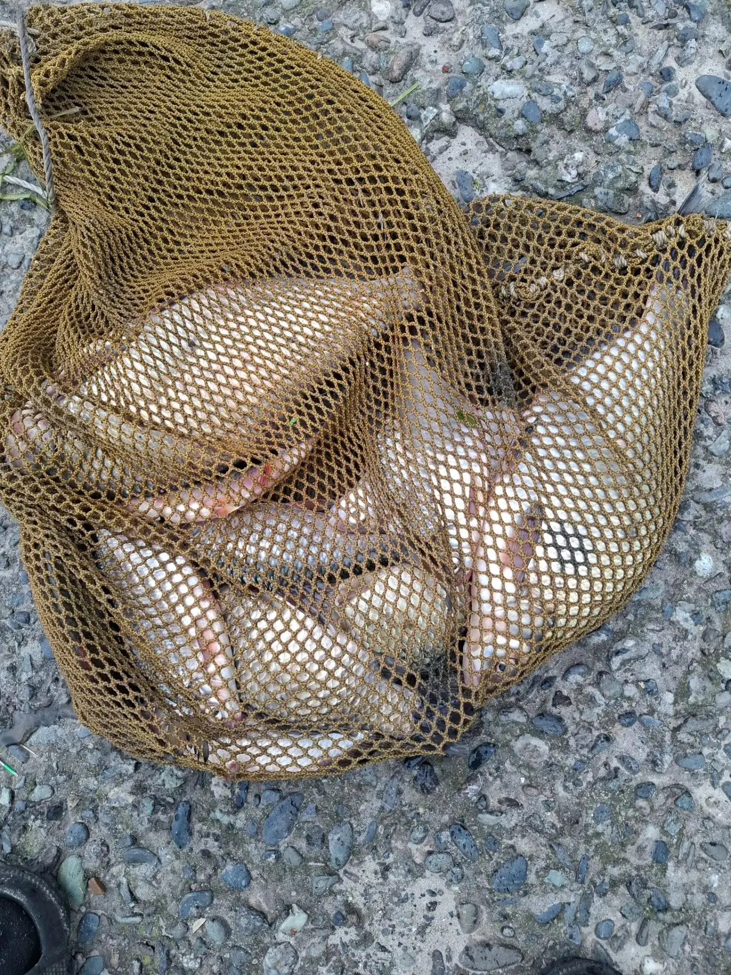 🐠 В субботу ночью, аксайские плиты.

♻️ Подпишись на Рыбалка в Ростове | РВР
✍🏻 Прислать свой отчё