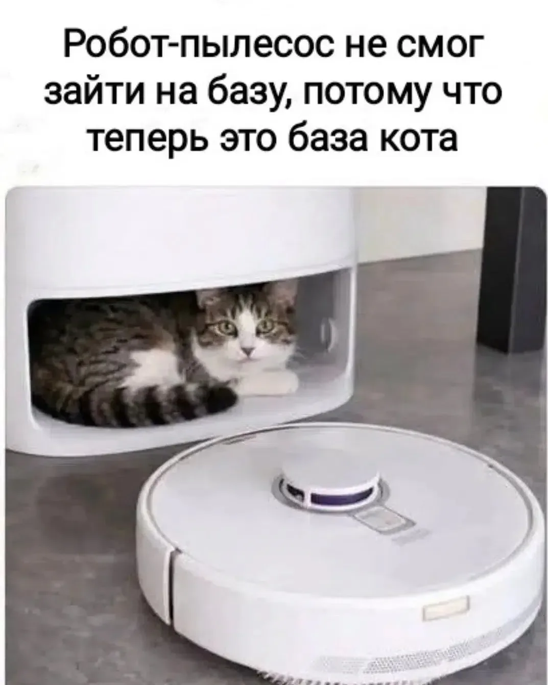 Подпишись на юмор 😂