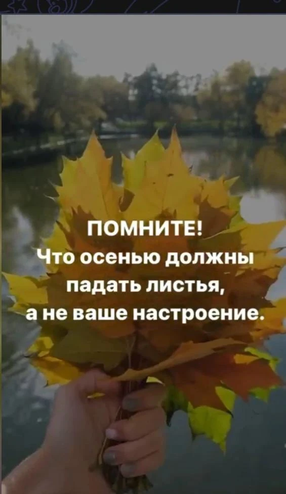 🍂 Осенью должны падать листья, а не ваше настроение! 🍁