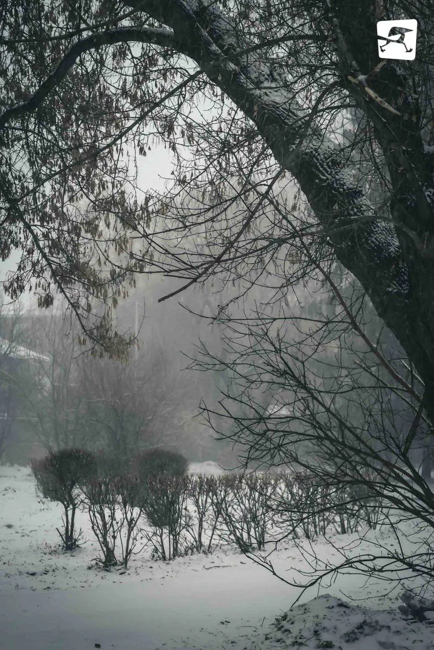 В Кемерове будто снова наступила зима ❄️