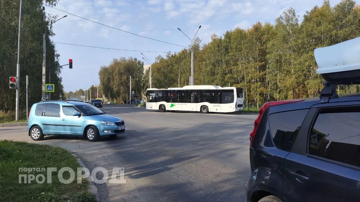 За упавшее на Audi A6 дерево ответит администрация