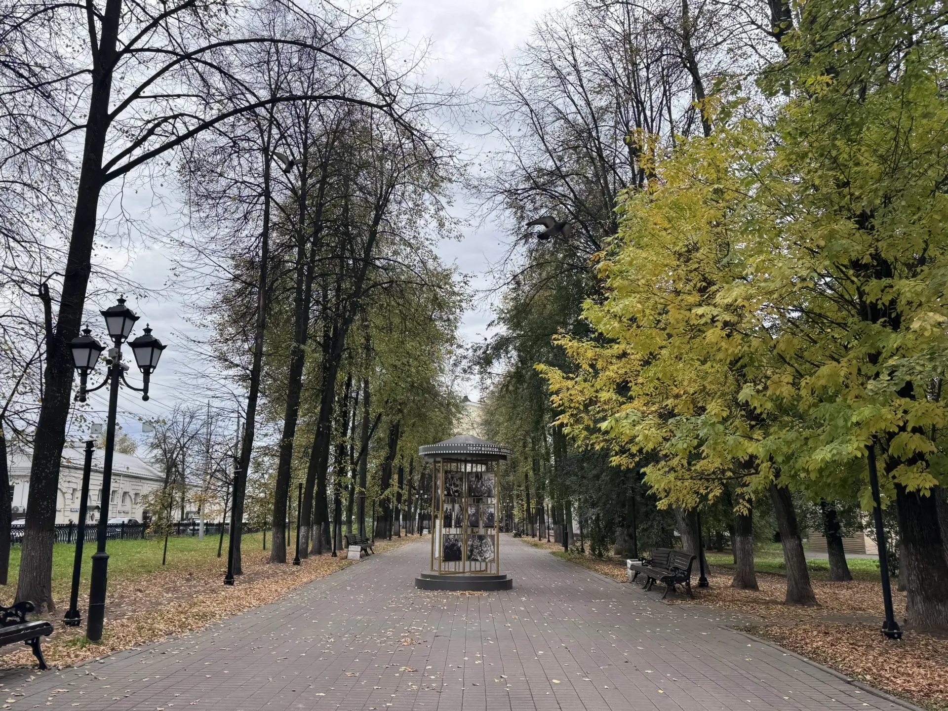 Доброе утро, Ярославль!
