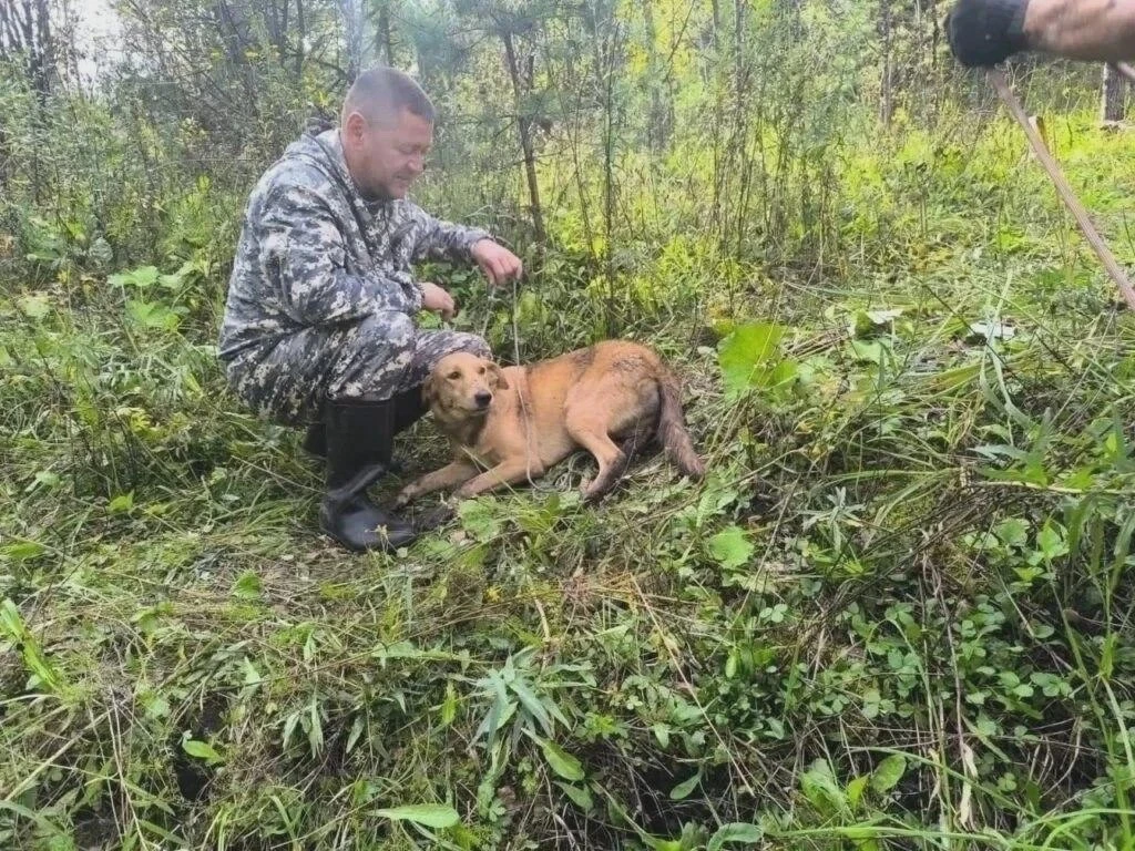 🐕 В Кузбассе спасли упавшего в штольню пса
