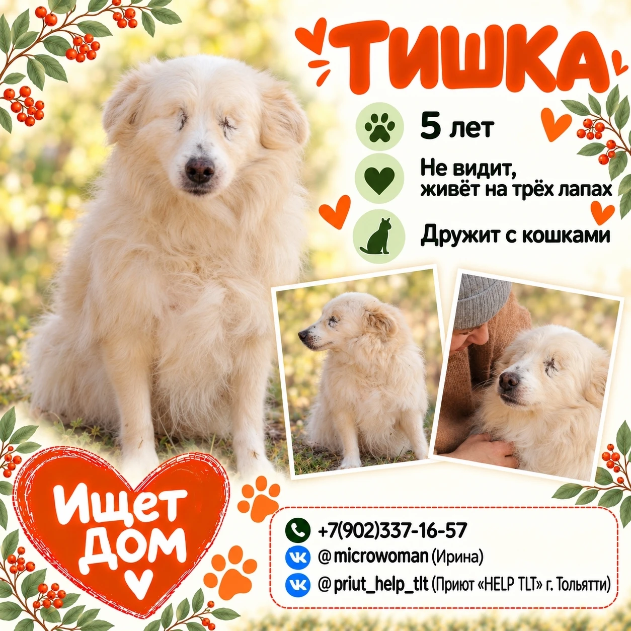 🐶 Друзья, знакомьтесь - Тишка.