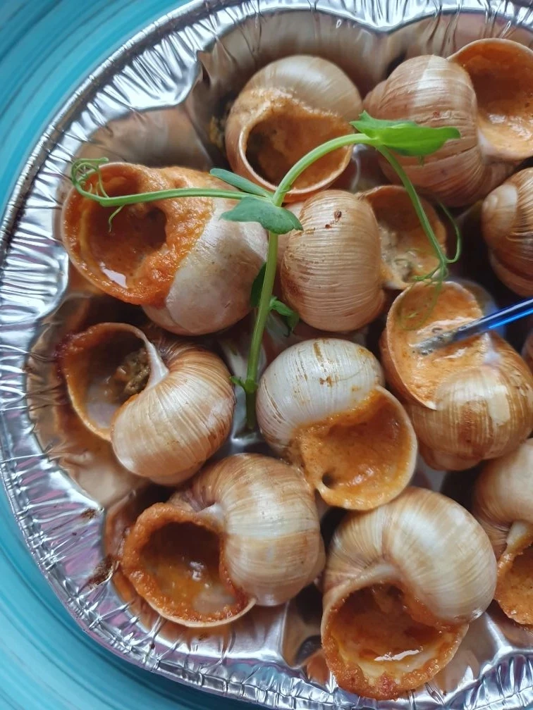 РАКУШКИ И МОЛЛЮСКИ — это невероятно вкусно и полезно, просто и быстро, а выглядит всегд...