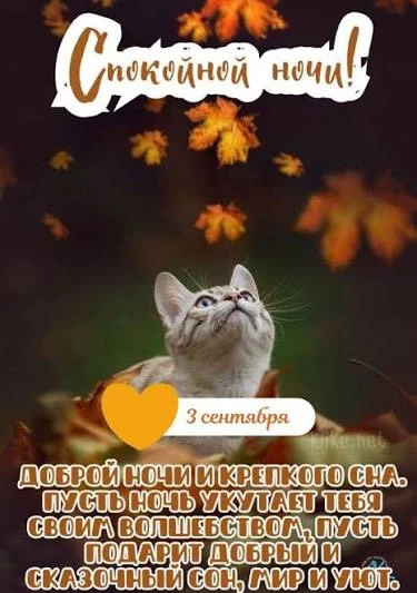 Список качественных каналов в МАХ | Подпишись!❤️