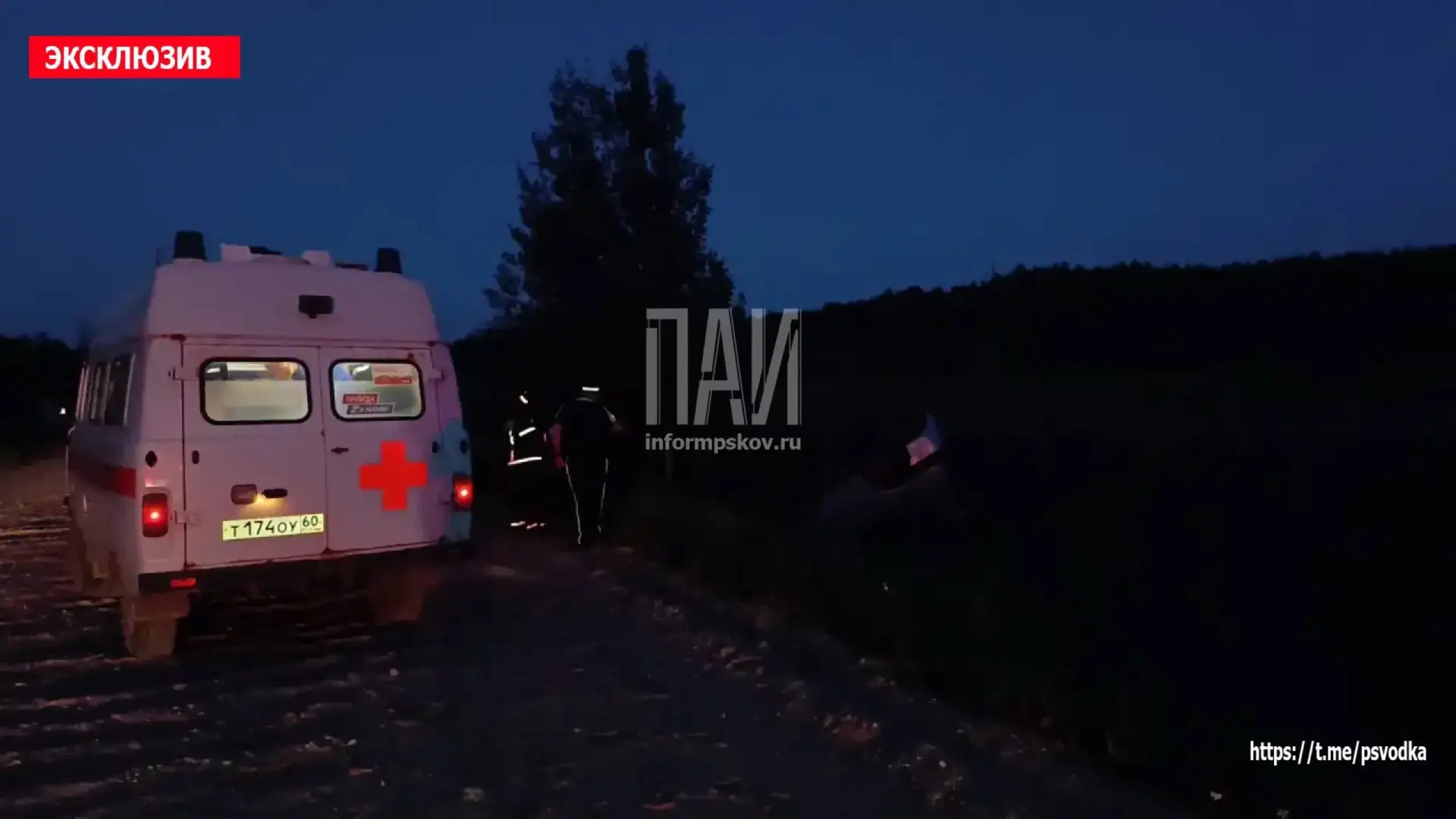 ❗️В Опочецком районе, у деревни Кудка, водитель автомобиля Renault не справился с управлением, съеха