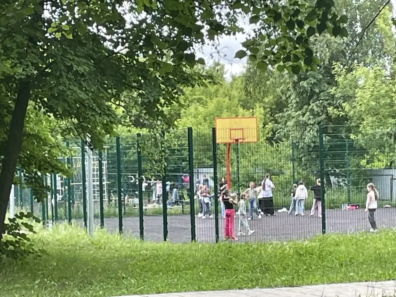 🌿🚦 5 и 6 дни в нашем лагере труда и отдыха «Юность»: сила тела + знание правил