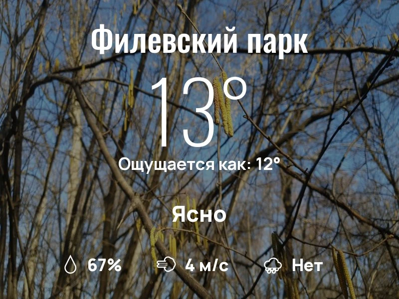 Что с погодой в Филевском парке?