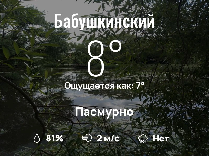 Что с погодой в Бабушкинском?