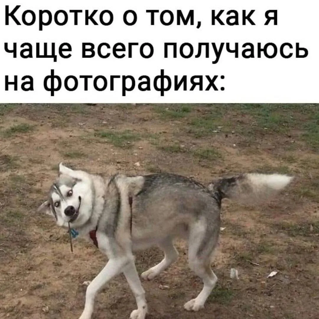 Корпорация смеха