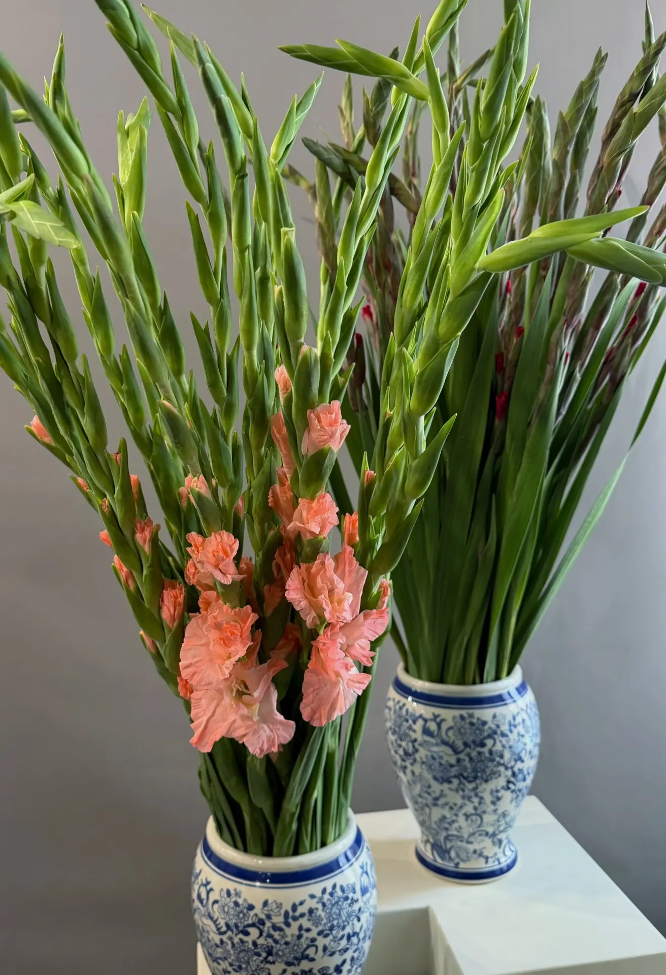 Самые фактурные, масштабные и эффектные 🌸
