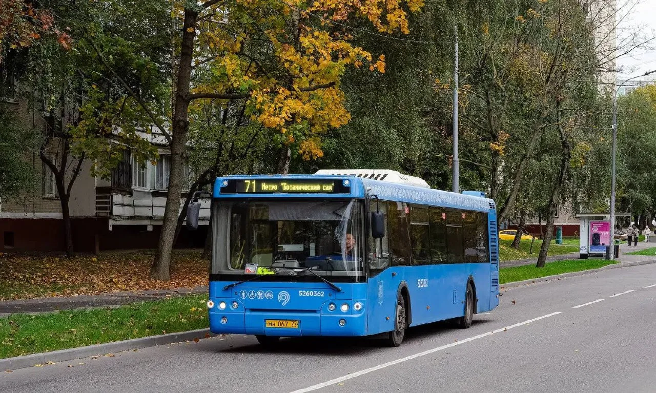 🚌Все краски золотой осени в Отрадном вполне можно уехать из окна 71-го автобуса!