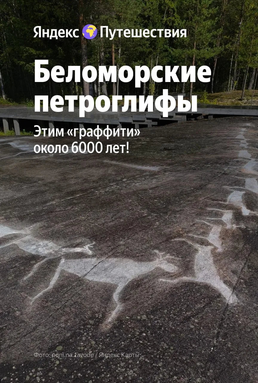 Они старше, чем египетские пирамиды! 👀