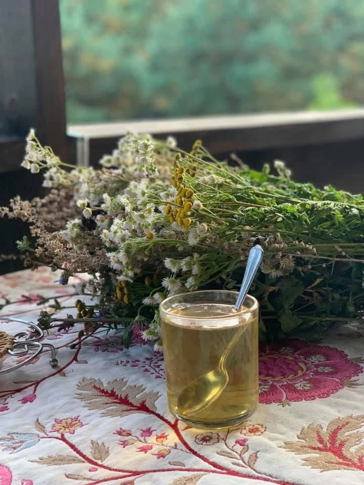 Всем доброе утро🌞🌞🌞

Вчера говорили про это лето. 
В общем, хорошее лето. 
Без изнуряющей жары и 