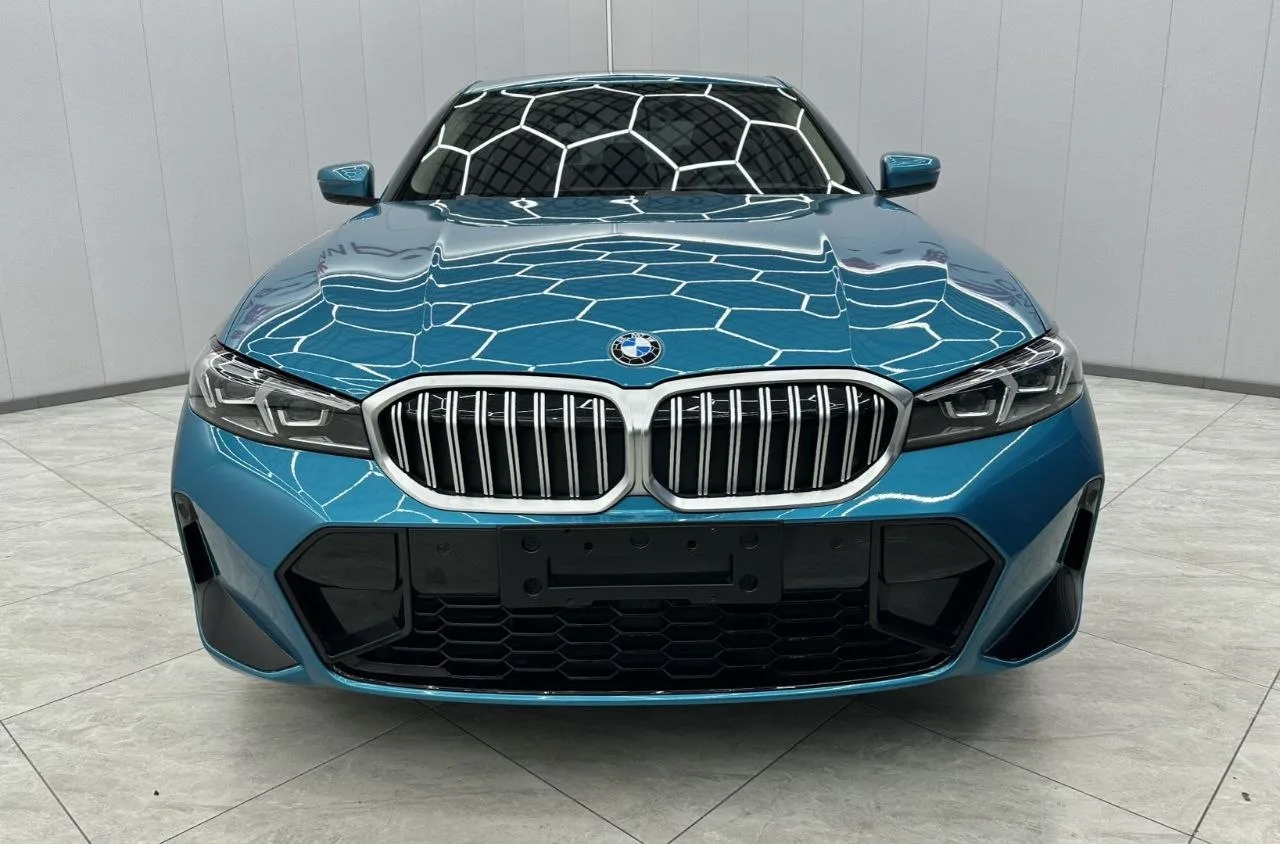 🇩🇪 BMW 3 Series 320Li M Sport Package
