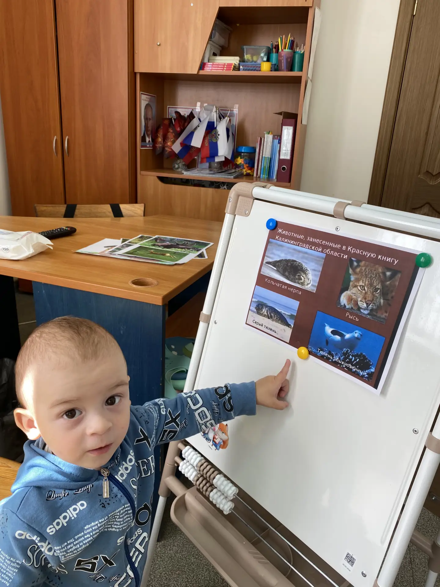 Сегодня тема нашего занятия: «Животные Калининградской области» 🦉🫎🌳Ребята с большим ...