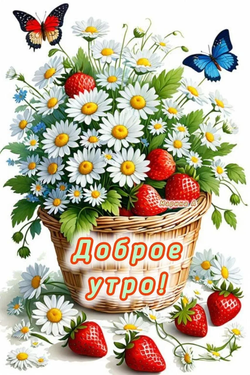 Светлых мыслей, добрых дел и лёгких вам людей!