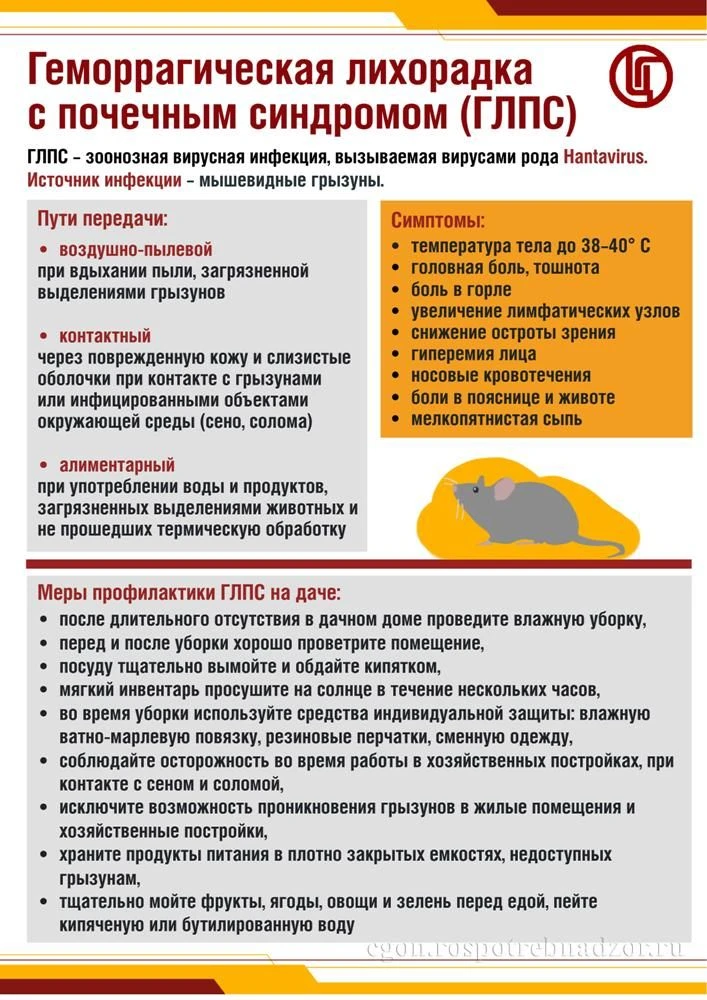 Информация о профилактике геморрагической лихорадки с почечным синдромом http://cgon.ru/
