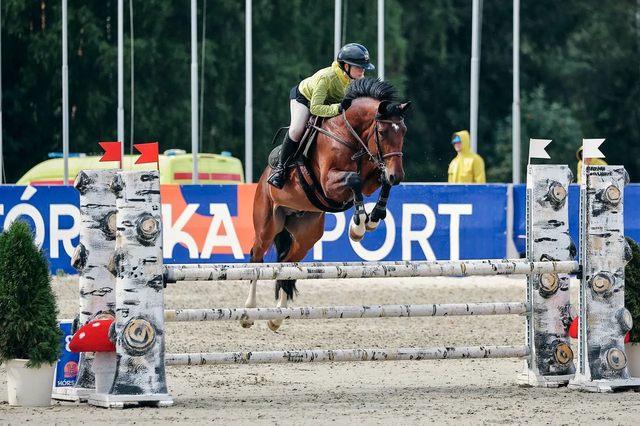 Мерин, латвийской породы.
2021 г.р., рост 164 см
Chelder (Chico’s Son) x R. Adermie x Calido)

Облад