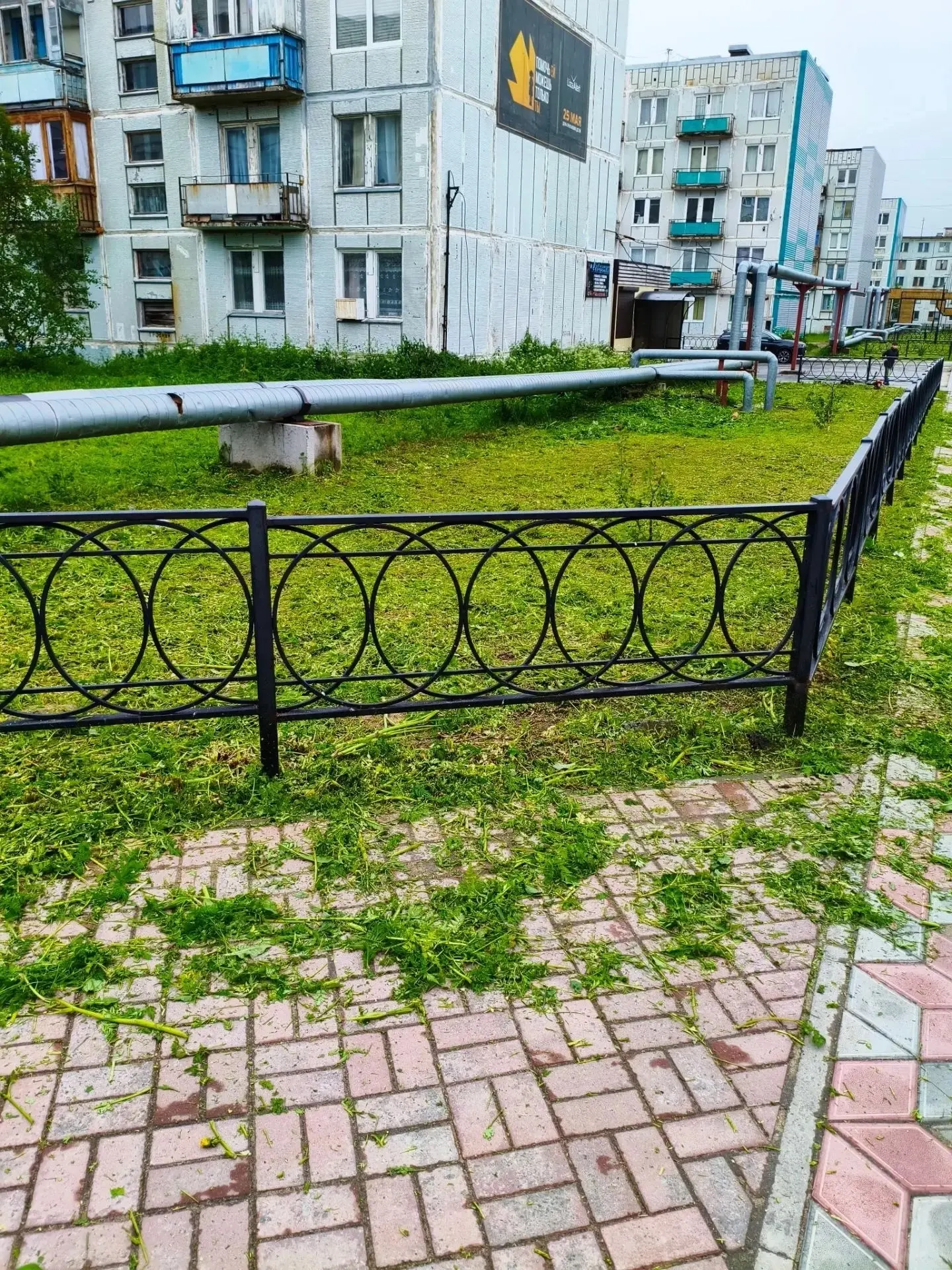 🌿 Коммунальные службы наводят порядок в городе!

Сейчас ведётся покос травы на городских территория