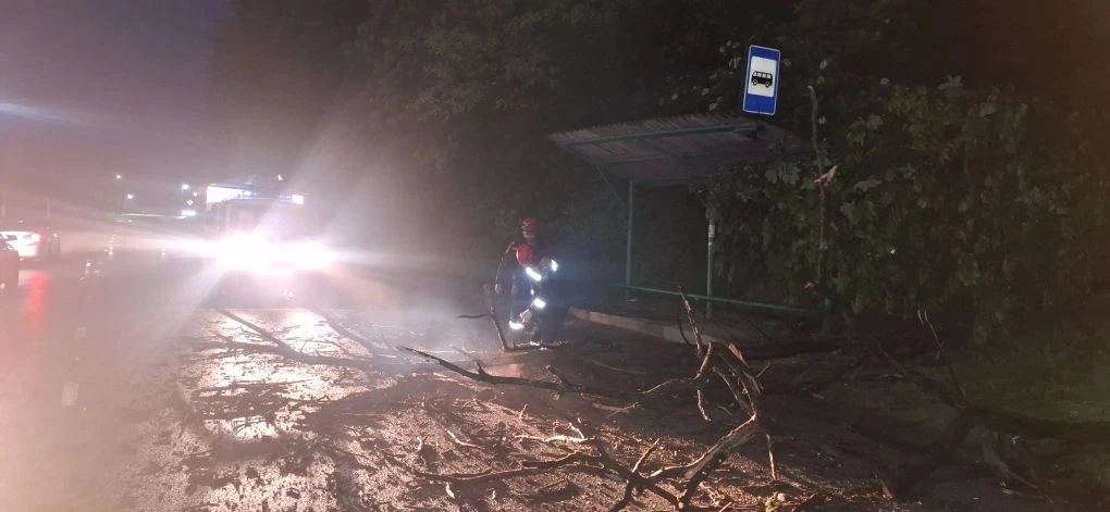 Вчера в поселке Псебай Мостовского района из-за сильного ветра и дождя упало дерево.  Оно перегороди