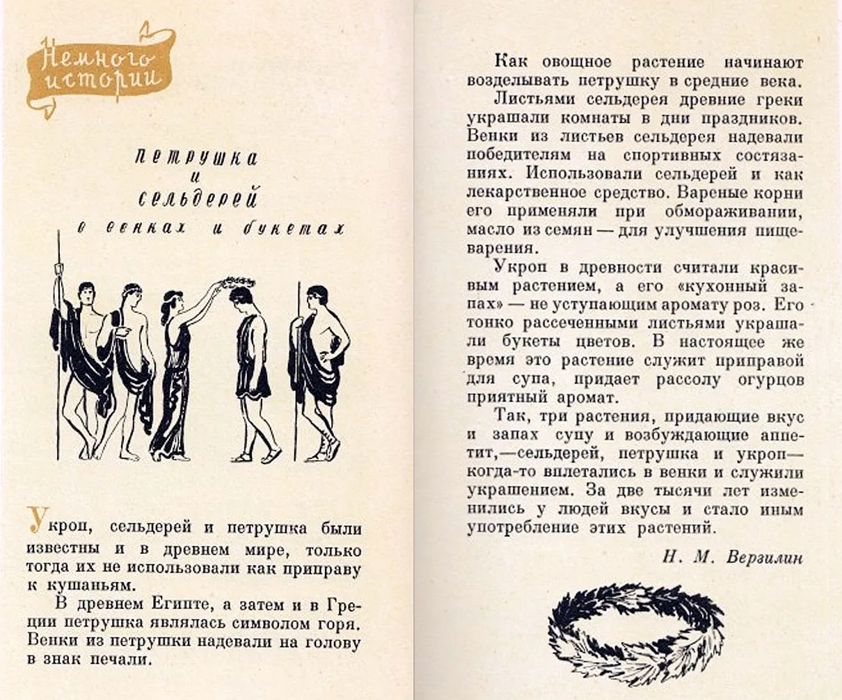 Петрушка и сельдерей в венках и букетах 💐  🤓 Интересный факт об укропе, петрушке и сельдерее из книг