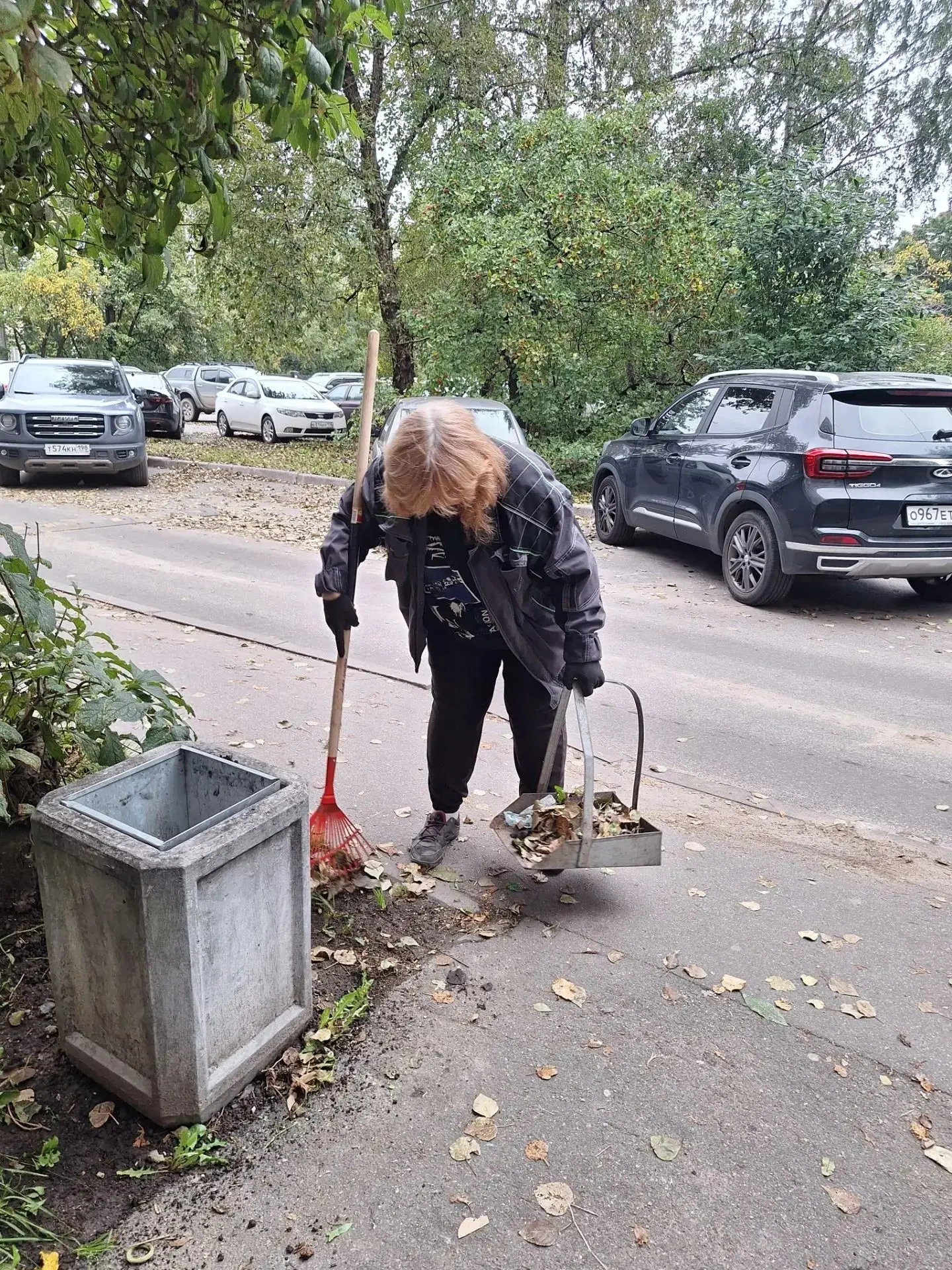 Осень запустила бесконечную доставку: убрали одну партию листьев — сверху уже летит сле...