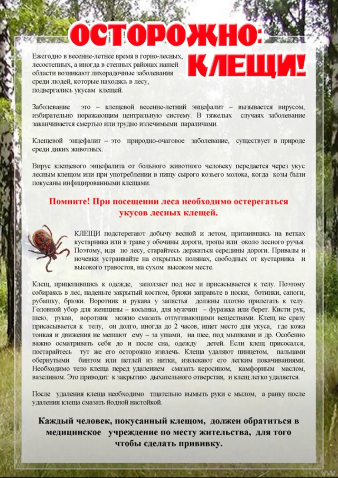 📍 Осторожно – клещи! 📍 
 Памятка для детей и родителей 👨‍👨‍👧‍👦  
#Памятки
