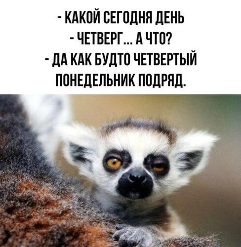 Доброе, предпраздничное!