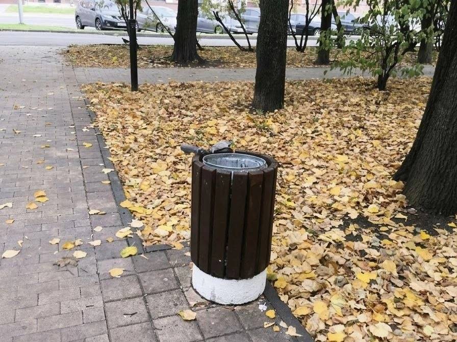 🧹 На улице Куусинена не убирают сквер