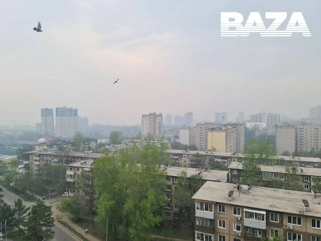 Хабаровск уже третий день в плотной дымке   Сразу в нескольких регионах полыхают леса, и гарь уверен