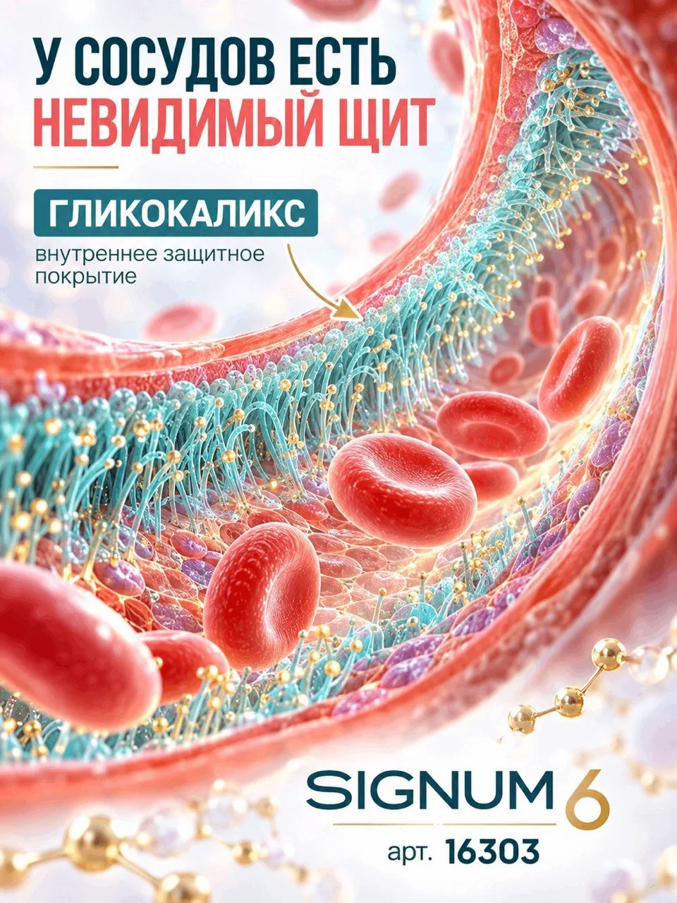 У сосудов есть собственное невидимое защитное покрытие. И это не метафора. 🔬