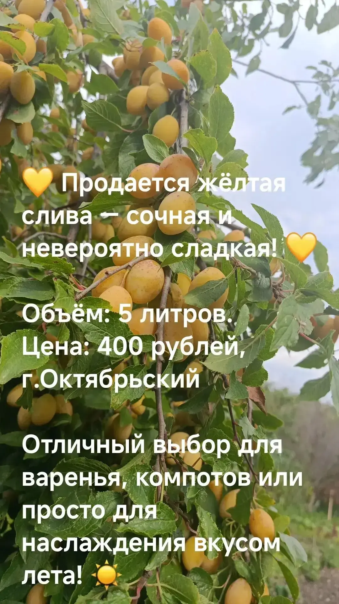 💬 Предложить пост в закрепленном посте 👆️