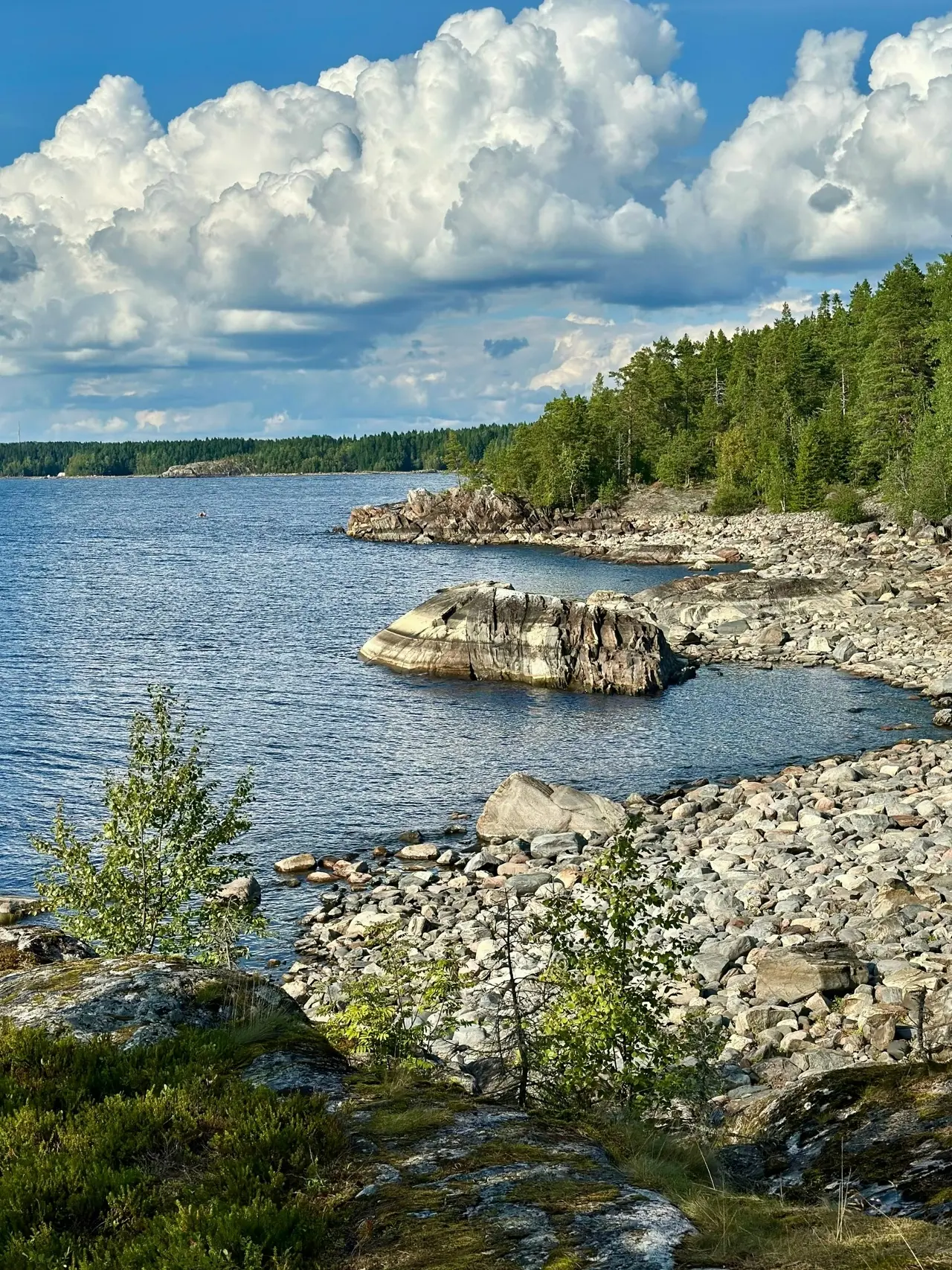 Где-то в Карелии🌲