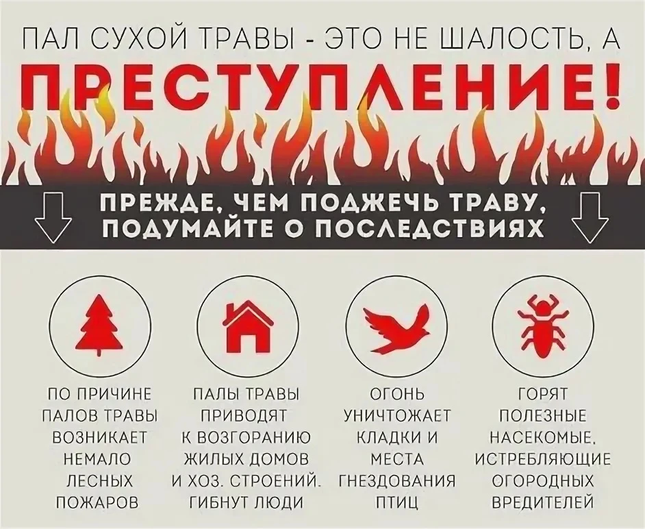 Особый противопожарный режим: запреты и инструктаж педагогов