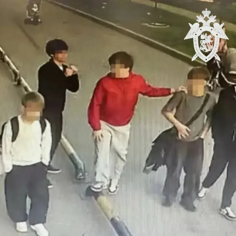 ❗В Буденновске возбудили дело после избиения подростка группой детей    Следователи СК отреагировали