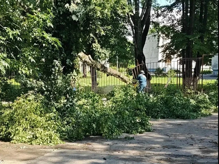🌳 В Железнодорожном районе оперативно распилили и убрали упавшее возле школы № 47 дерево

По поруче