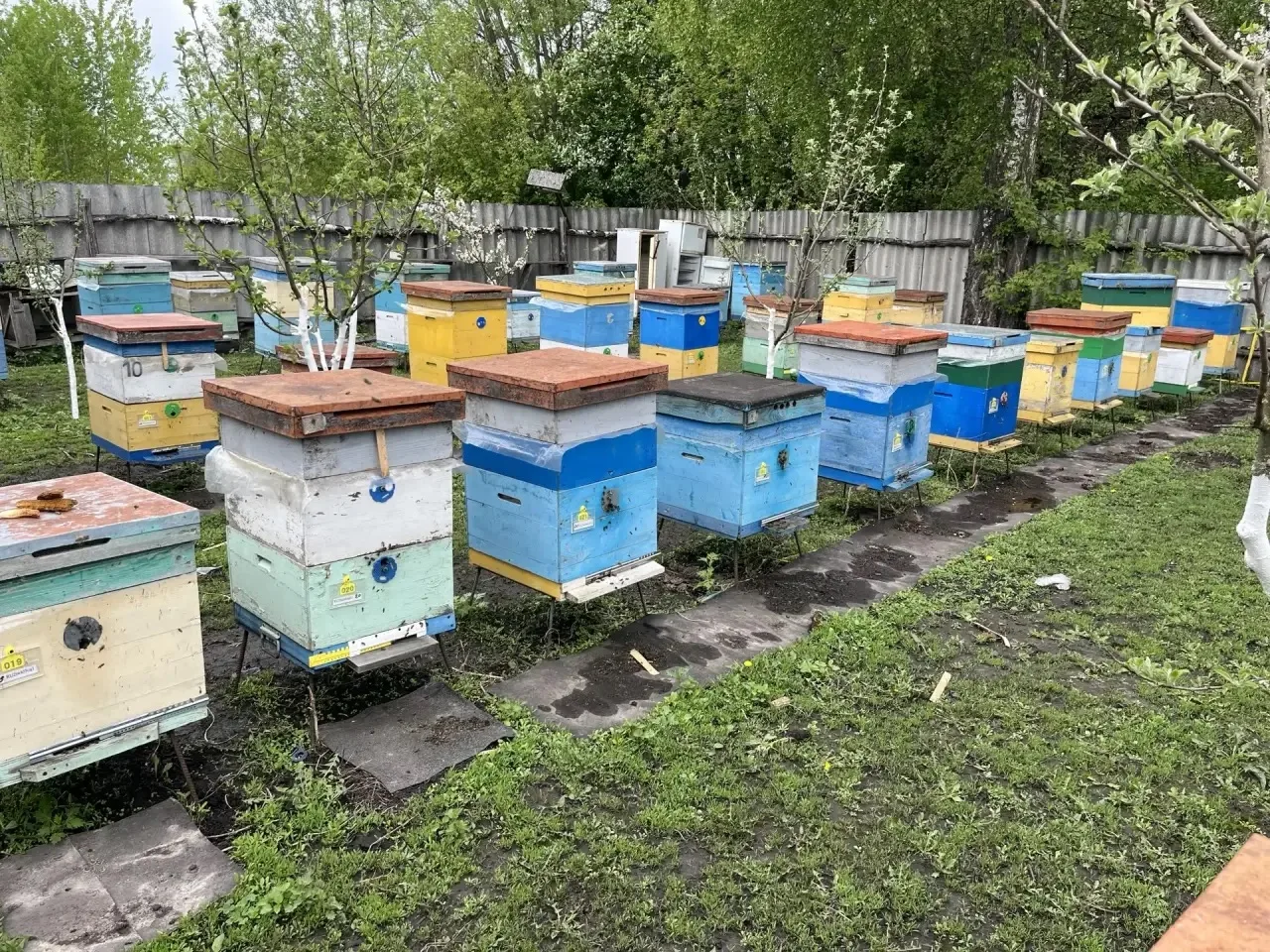 РАБОЧИЕ ДНИ!🐝🐝🐝
