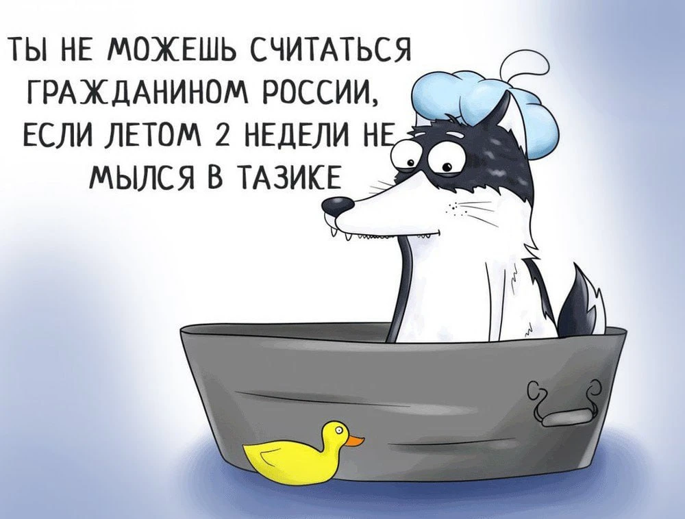По проблеме с горячей водой в домах Сочинская, д.1,3,5,7; Североморская, д.5 к1 и 2 из-...
