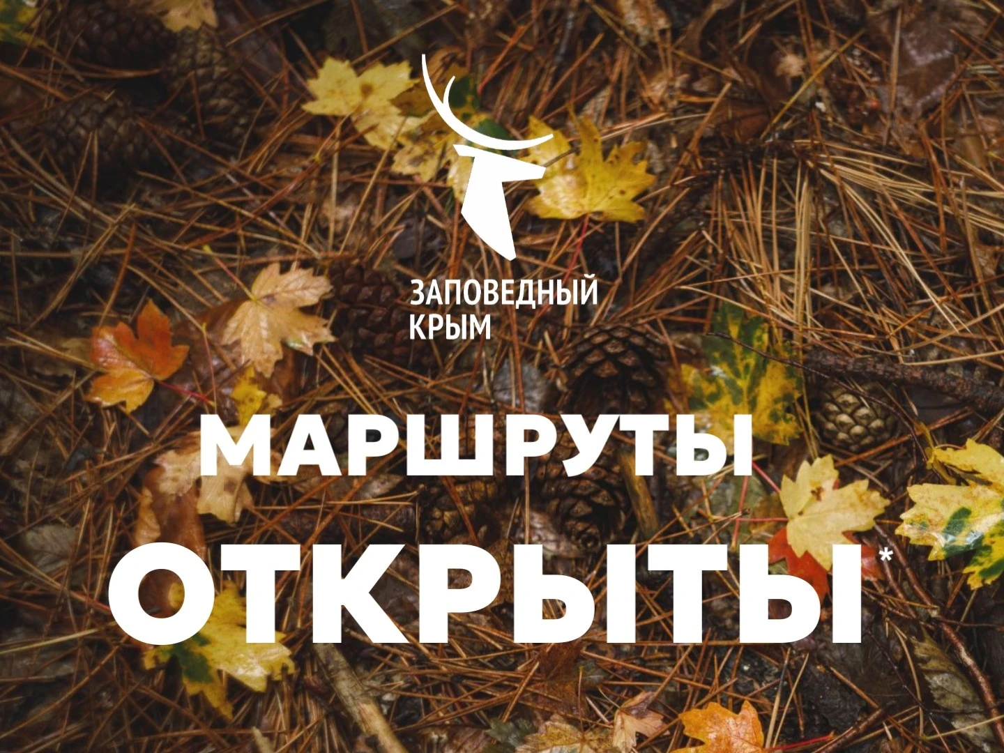 Канал АГП Ялта | Крым: В Ялтинском горно-лесном заповеднике возобновили доступ к эколог...