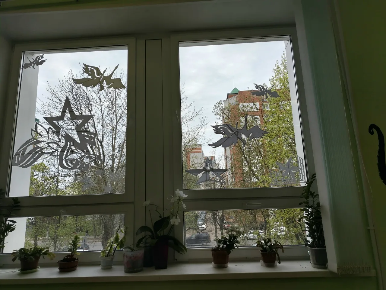 «Окна Победы» в лицее № 33!  Ученики 6в класса под руководством классного руководителя Сорокиной Т.В