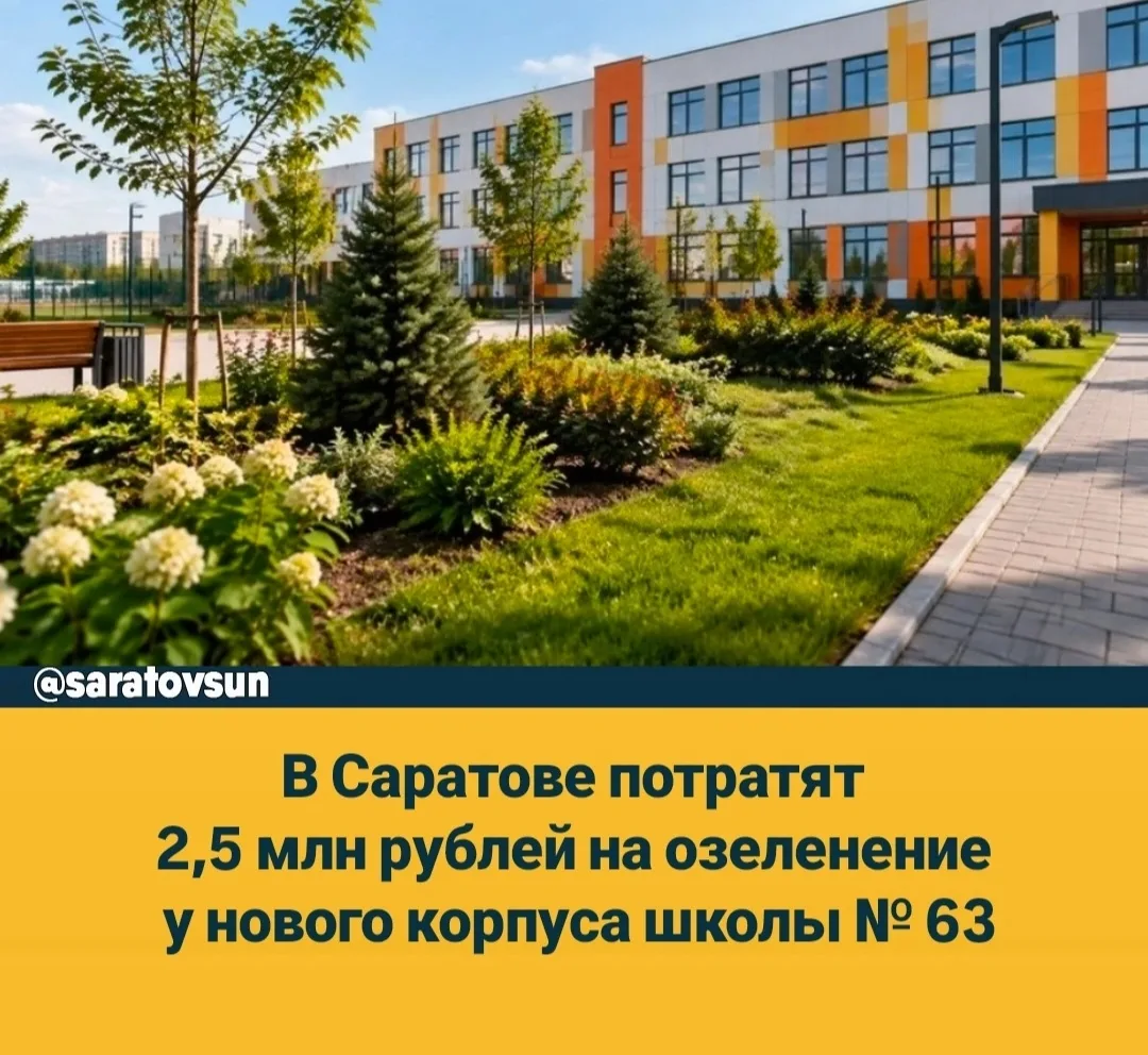 В Саратове озеленят территорию возле нового учебного корпуса школы № 63. Информация об ...