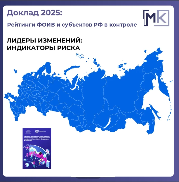 Доклад о госконтроле-2025