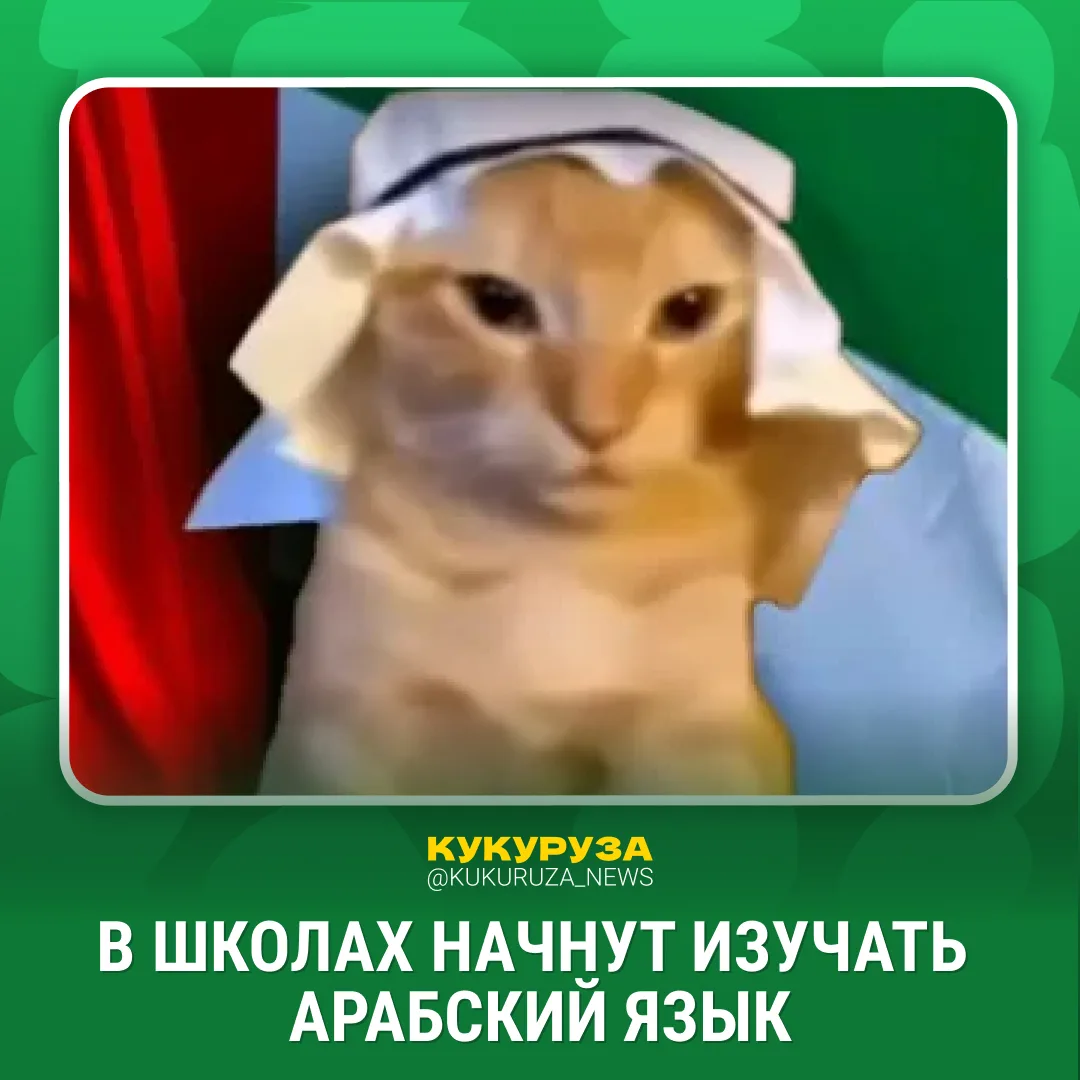 Арабский язык начнут изучать в школах уже с 1 сентября.