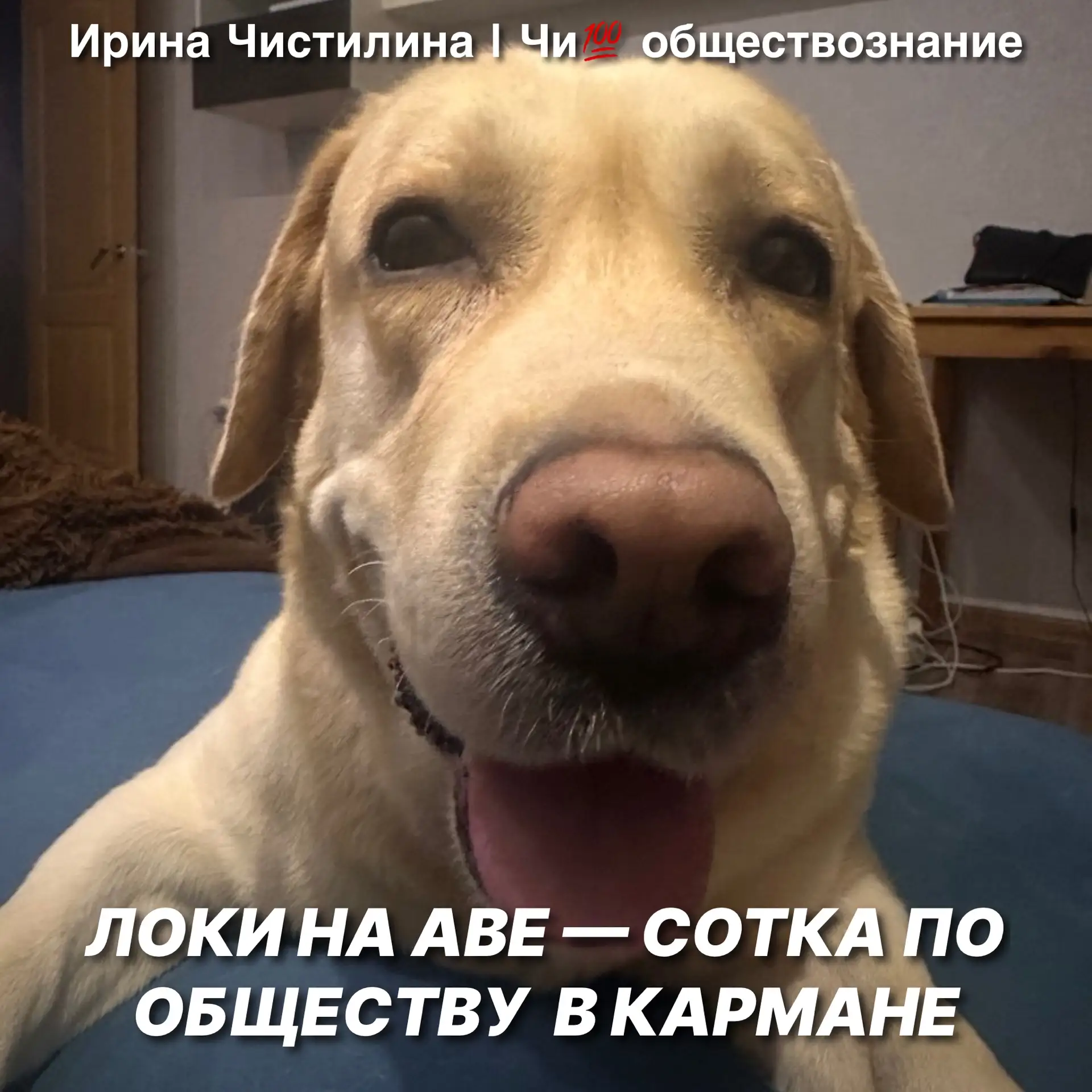 УЖЕ ЗАВТРА 🫢

Кажется, только вчера мы начинали подготовку, а сегодня до ЕГЭ по обществознанию оста