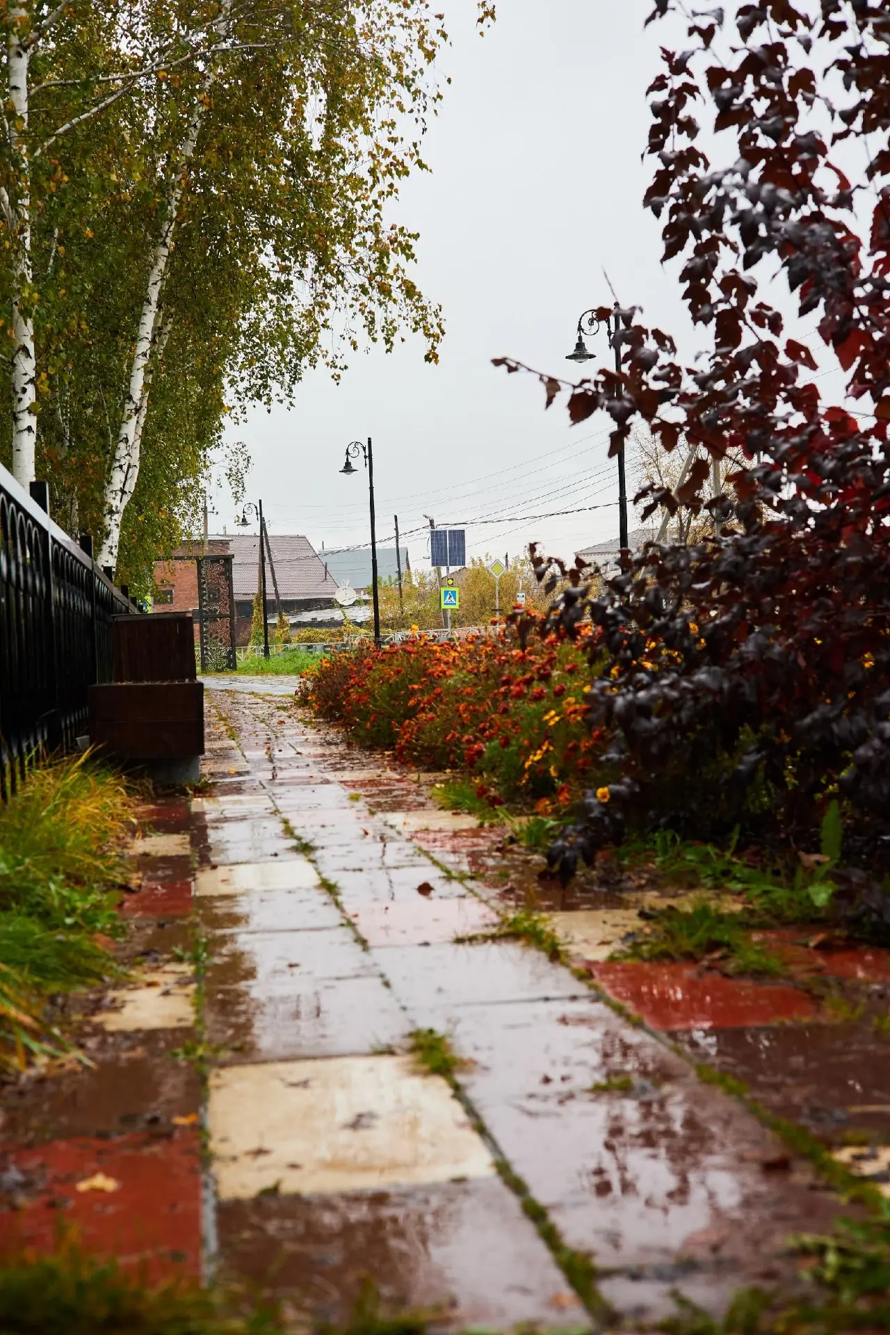 Серый, дождливый день в городе 🍂☔